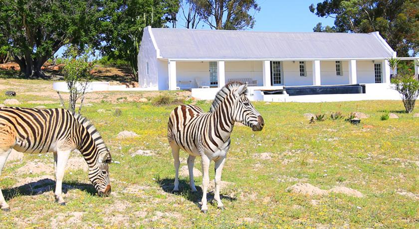 Arnion - Nature Retreat Clanwilliam Zewnętrze zdjęcie